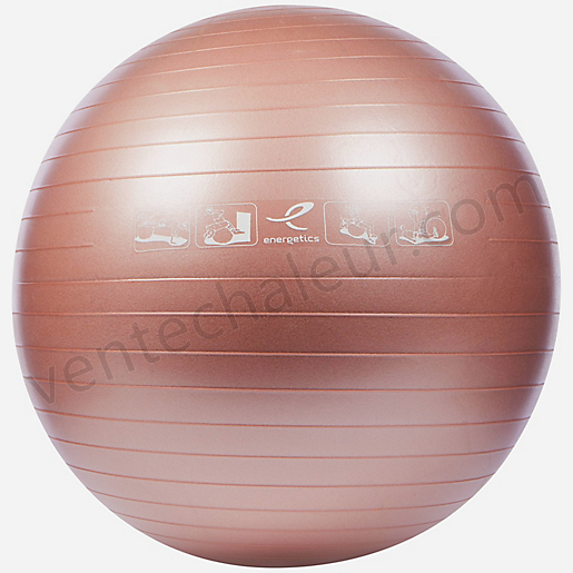 Ballon de fitness ROSE-ENERGETICS Vente en ligne - -0