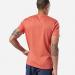 T-shirt manches courtes homme Rc Distressed Crest-REEBOK Vente en ligne - 5